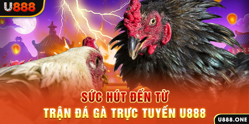 hit88 đá gà trực tiếp c1