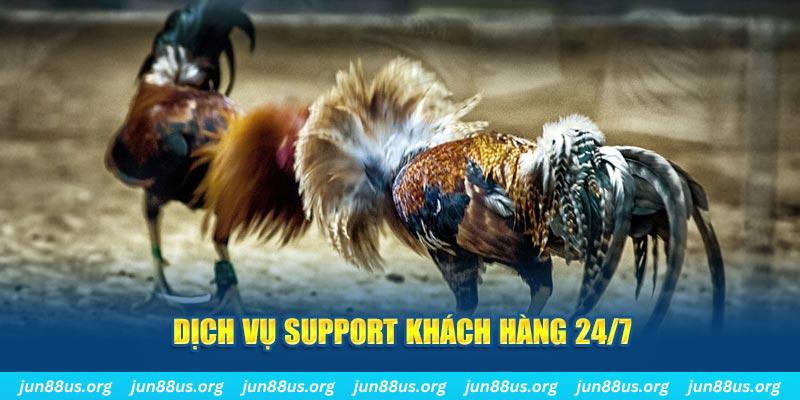 hit88 ÁT CHỦ BÀI GIÀNH LẤY ZHUANG NIUNIU ( XEM 4 LÁ )