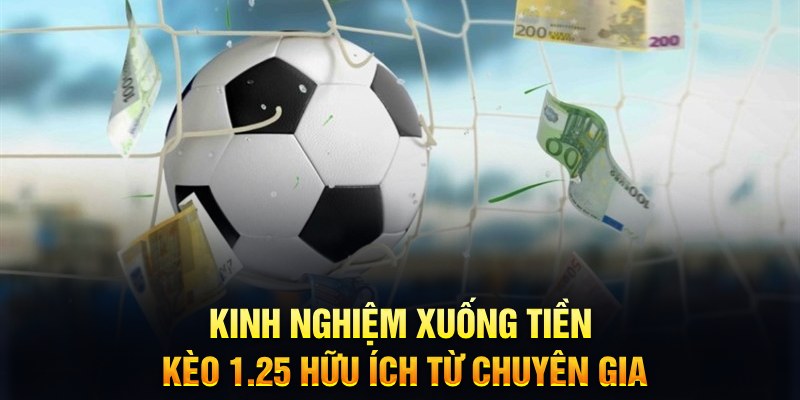 hit88 TCG Xổ Số