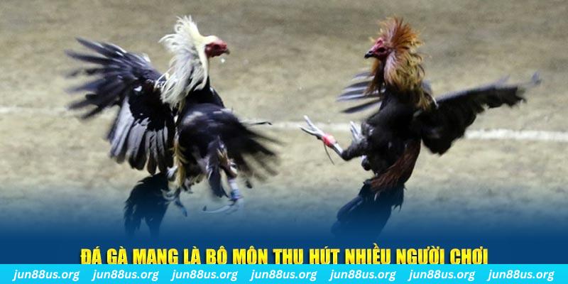hit88 bắn cá au88