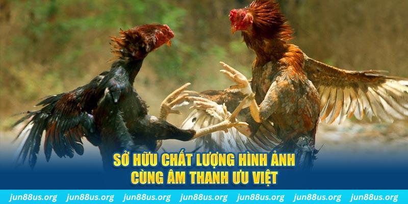 hit88 PP Điện Tử