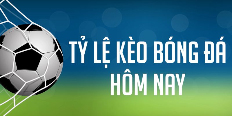 hit88 gà chọi c1 mới nhất