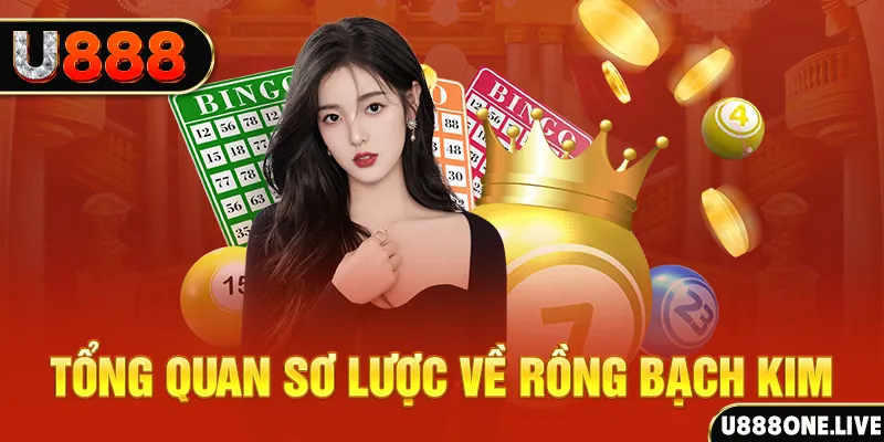 hit88 hũ 8 bit nổ như thế nào
