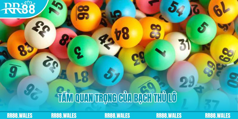hit88 xổ số an giang