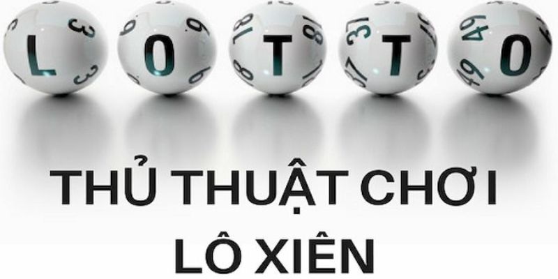 hit88 trực tiếp đá gà thomo
