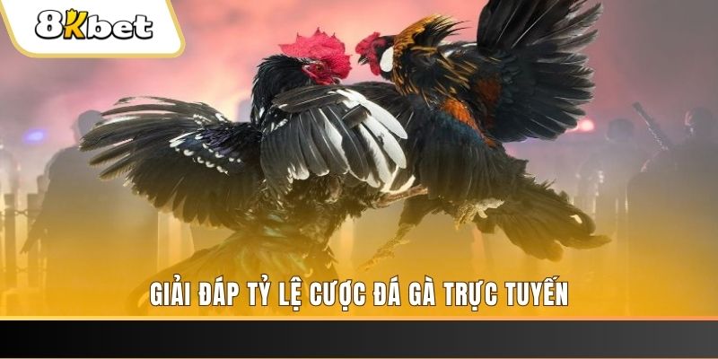 hit88 xổ số đài miền trung