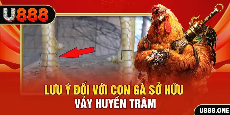hit88 kết quả xổ số miền nam hôm nay