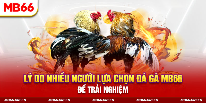 hit88 xổ số miền bắc thứ bảy hàng tuần