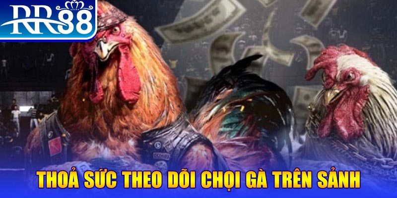 hit88 Bài Poker Joker