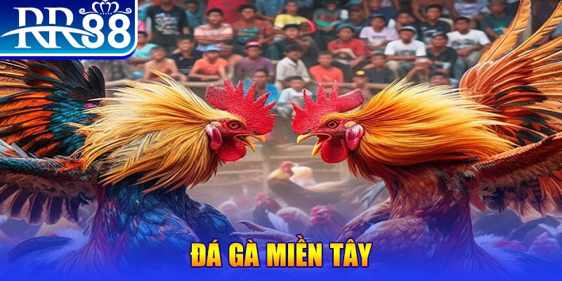 hit88 no hu doi thuong ai
