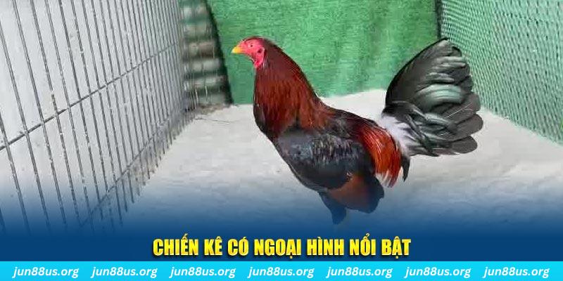 hit88 game nổ hũ là gì