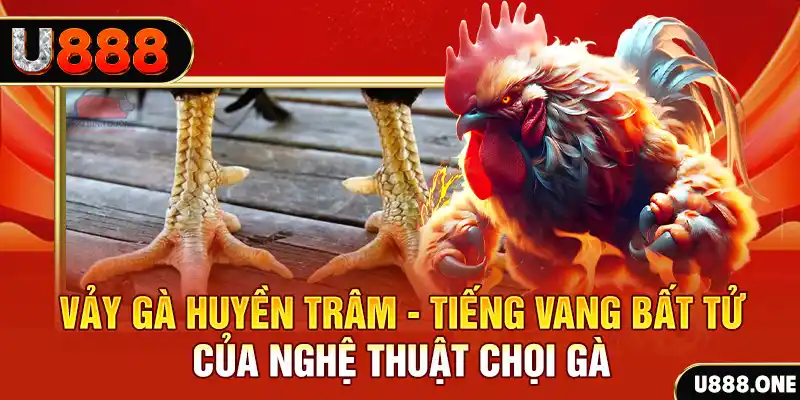 hit88 xổ số miền bắc ngày hôm nay