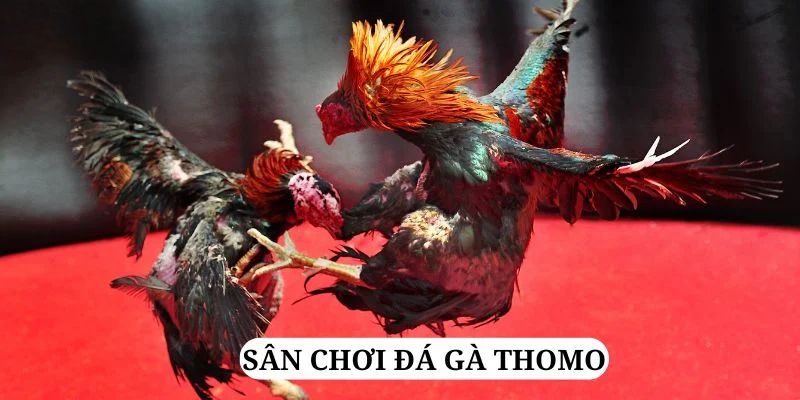 hit88 trực tiếp xổ số miền bắc